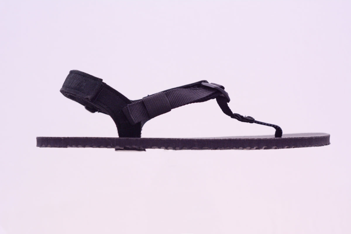 Warriors Maximus Collection