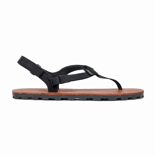 Elite — Ibex Tobacco Brown Leather