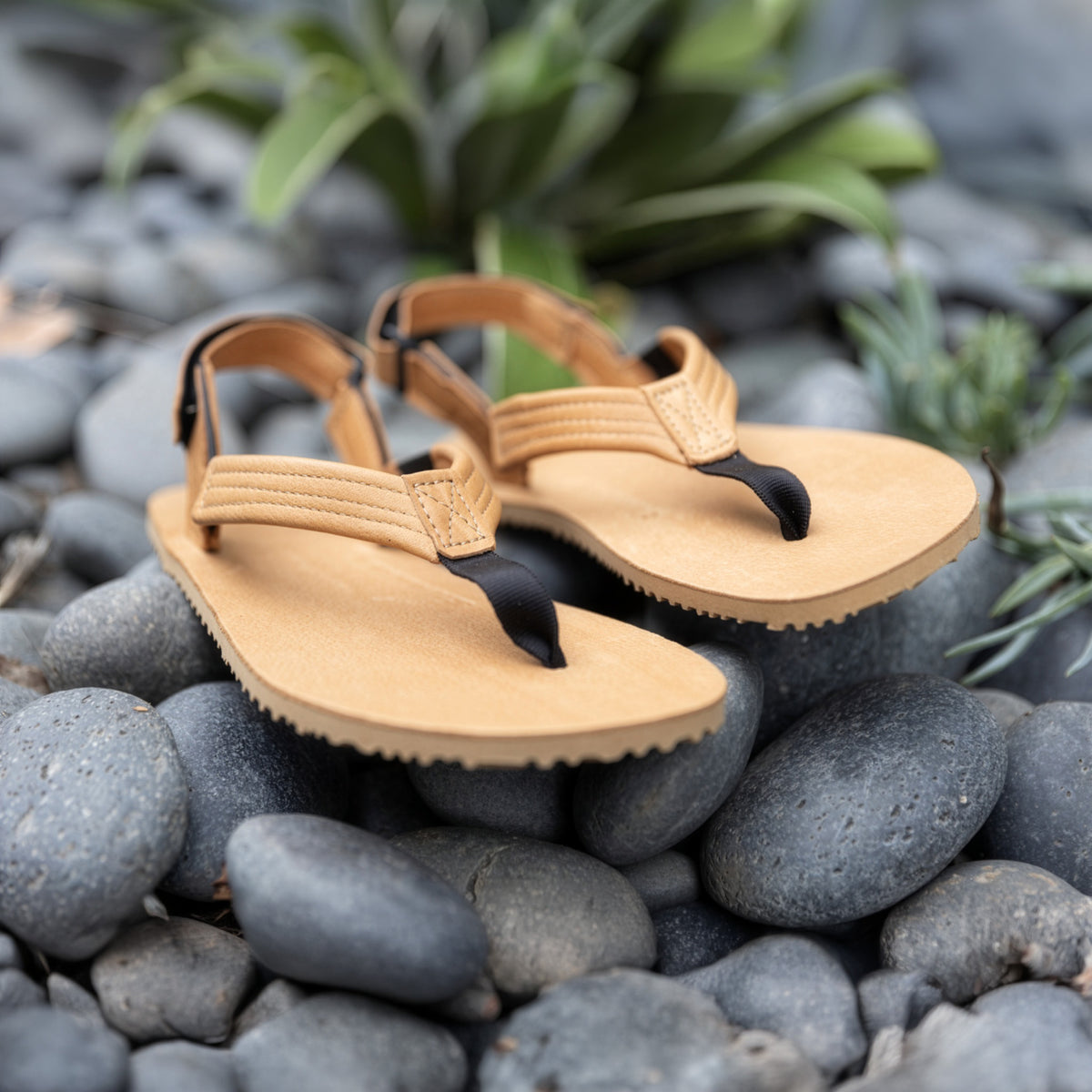 Pair of tan sandals on gray stones with green plants in the background